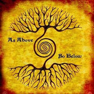 Meet your Posher, Ellen rose